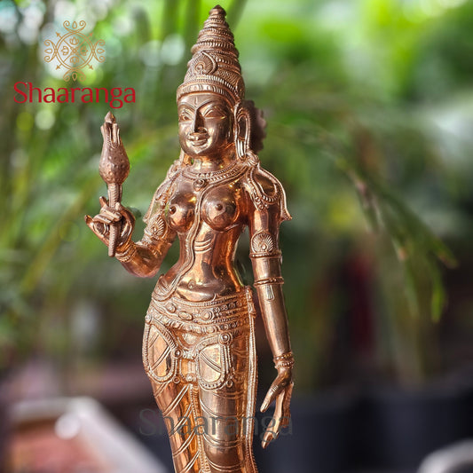 21 Inches Bronze Parvati Devi Standing.
