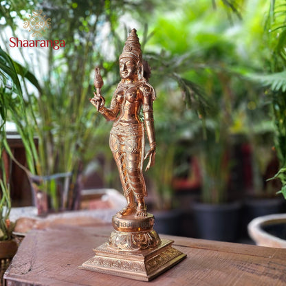 21 Inches Bronze Parvati Devi Standing.