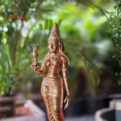 21 Inches Bronze Parvati Devi Standing.