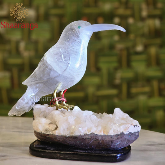6 Inches Bird in Fluorite Stone