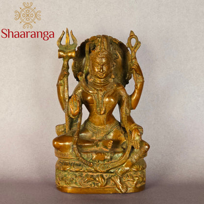 10 Inches Brass Shiva Sitting Idol