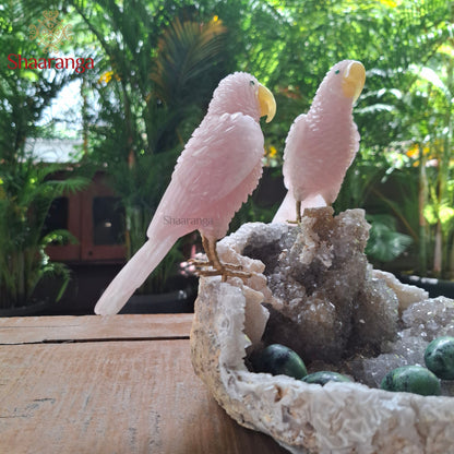 10 Inches Rose Quartz Parrot Family on a Natural Stone Base