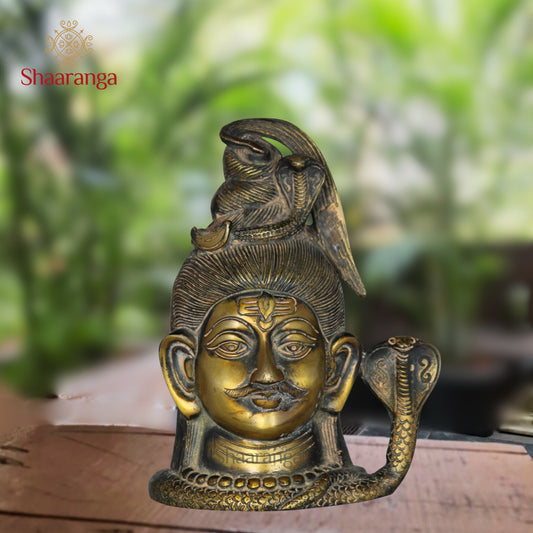 7.5 Inches Brass Shiva Head