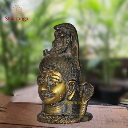 7.5 Inches Brass Shiva Head