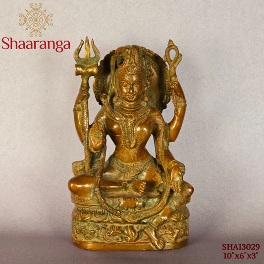 10 Inches Brass Shiva Sitting Idol