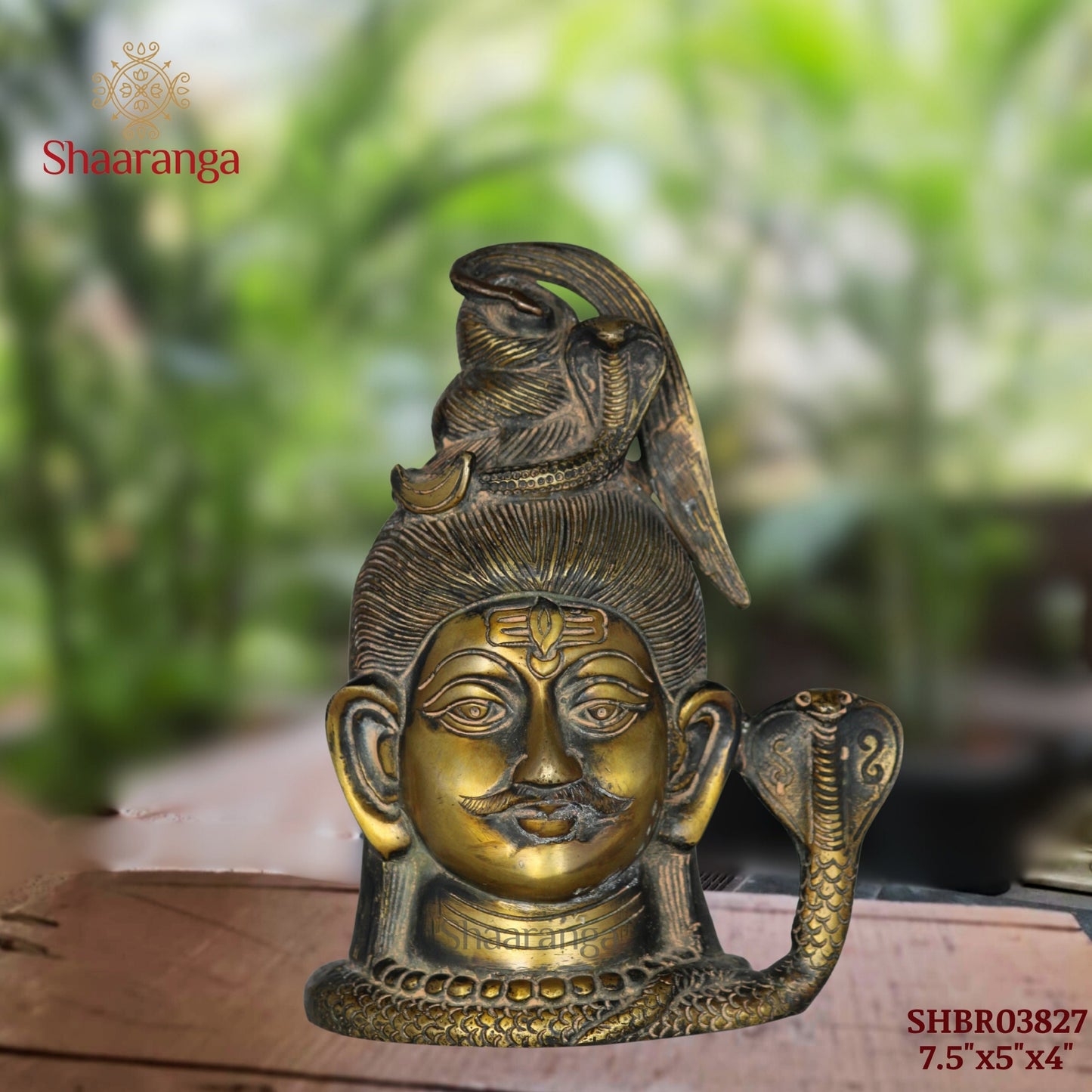 7.5 Inches Brass Shiva Head