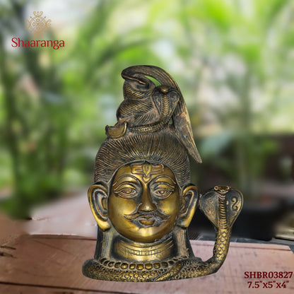 7.5 Inches Brass Shiva Head