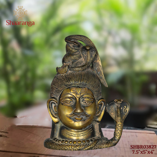 7.5 Inches Brass Shiva Head